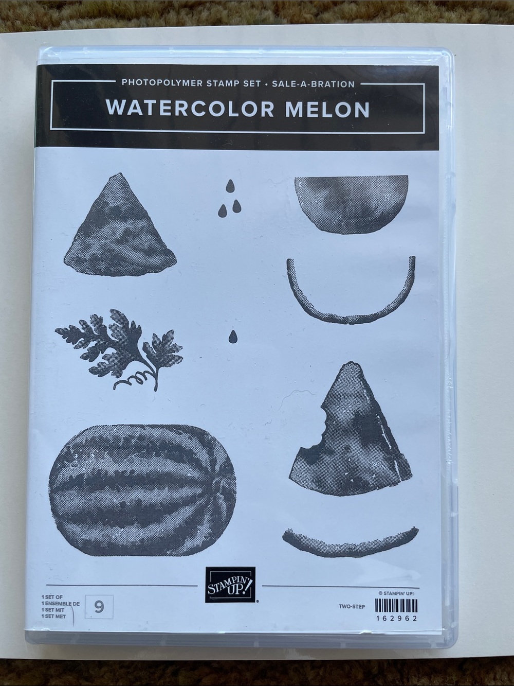 Stampin' Up! Watercolor Melon Photopolymer Stamp & Punch
